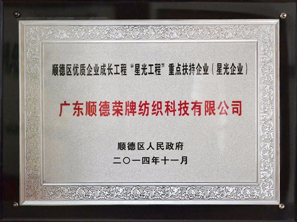 pa集团-2012年获顺德政府颁发“星光企业”称号