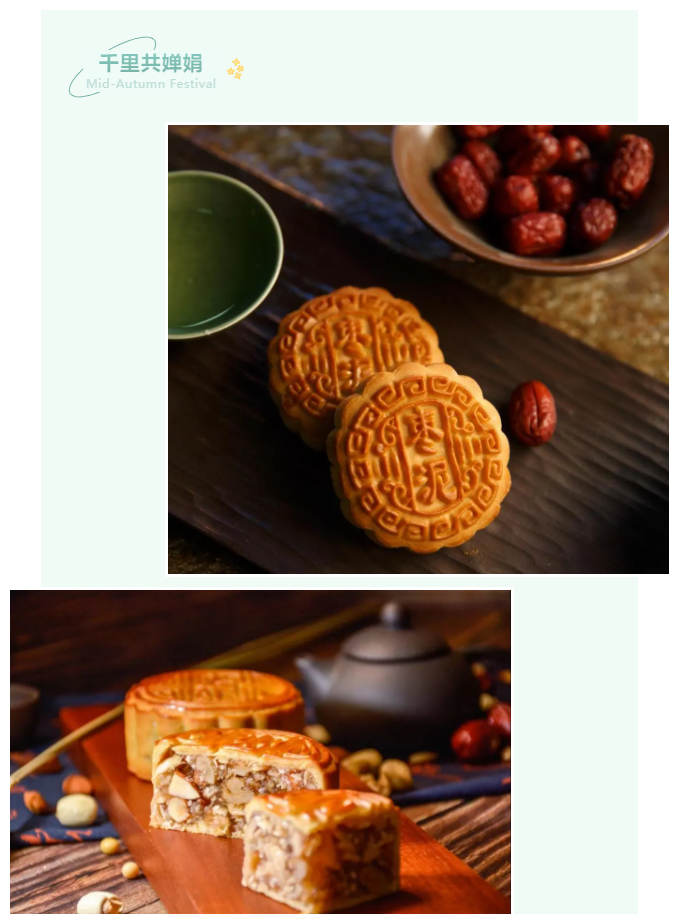 pa集团医纺